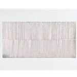 Wall Plate with Brushes